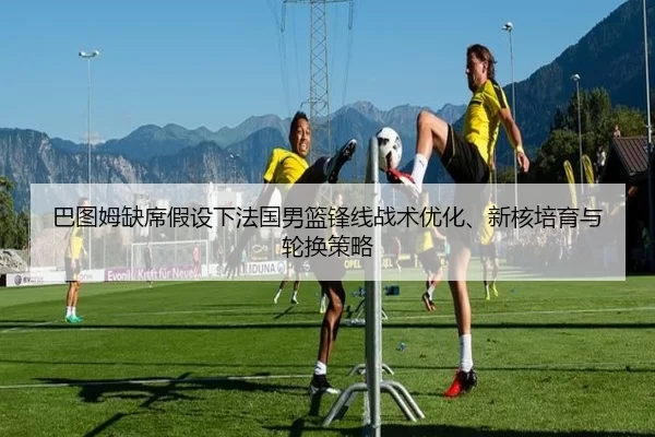 巴图姆缺席假设下法国男篮锋线战术优化、新核培育与轮换策略