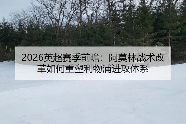 ying-chao-sai-ji-qian-zhan-a-mo-lin-zhan-shu-gai-ge-ru-he-zhong-su-li-wu-pu-jin-gong-ti-xi-2-828.jpg